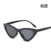 Gray frame with leopard print