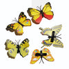 7cm yellow series (single price)