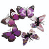 7cm purple series (single price)