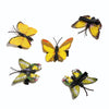 4cm yellow series (single price)