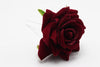 2 wine red
