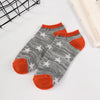 Gray + orange / one size fits all