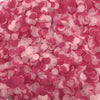 C10 light pink rose