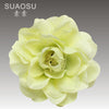 Light green / side clip