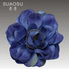 Sapphire / side clip