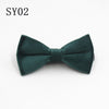 Sy02