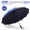12 bone sunscreen automatic - navy blue