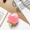 Transparent stand-fruit popsicle-peach