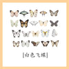 White butterfly