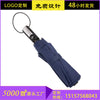 Fy302 10 bone automatic umbrella