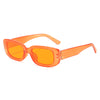 Transparent orange frame orange slices