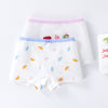 Gd211#boxer pants/2 packs / 110 yards