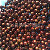 With buddha beads 8mm single price
