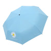 Daisy blue automatic