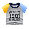 Short t1981 gray / 90cm