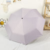 Taro purple automatic