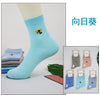 Sunflower 5 pairs / 34-42 (one size fits all)