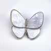 Silver emerges from cocoon and becomes butterfly