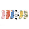 Evenly matched colors / size s (0-1 years old)