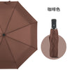 Stereotype automatic umbrella brown
