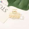 Mini claw transparent series - champagne / qiyue factory direct sales