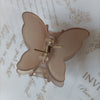 Caramel colour