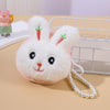 1 carrot rabbit