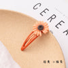 Orange daisy