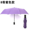 [automatic] 8-bone business reinforced umbrella-purple