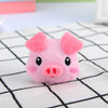Piggy