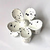 White spots