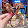 Brown starfish