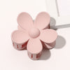 Matte light powder
