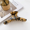 Rice tortoise shell-11cm