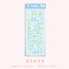 Blue tulip