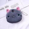 Gray cat