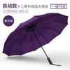 12 bone rainproof automatic-purple