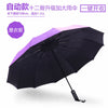 12 bone sunscreen automatic-purple