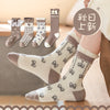 C22388b / m [3-5 years old 15-17cm]