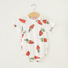 Qy004 radish / 66