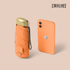 Flat 50% off fruit orange