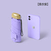 Flat 50% off lavender purple