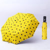 Bear yellow automatic