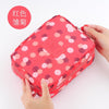 Red daisy / 60*45*30cm