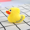 Little duck