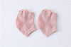 Korean pink cat