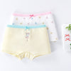 Gd213#boxer pants/2 packs / 110 yards