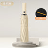 Sycamore rice / 23 inches*12k