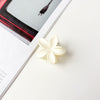 White / plastic/resin