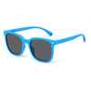 C33-full sand blue / tac polarized